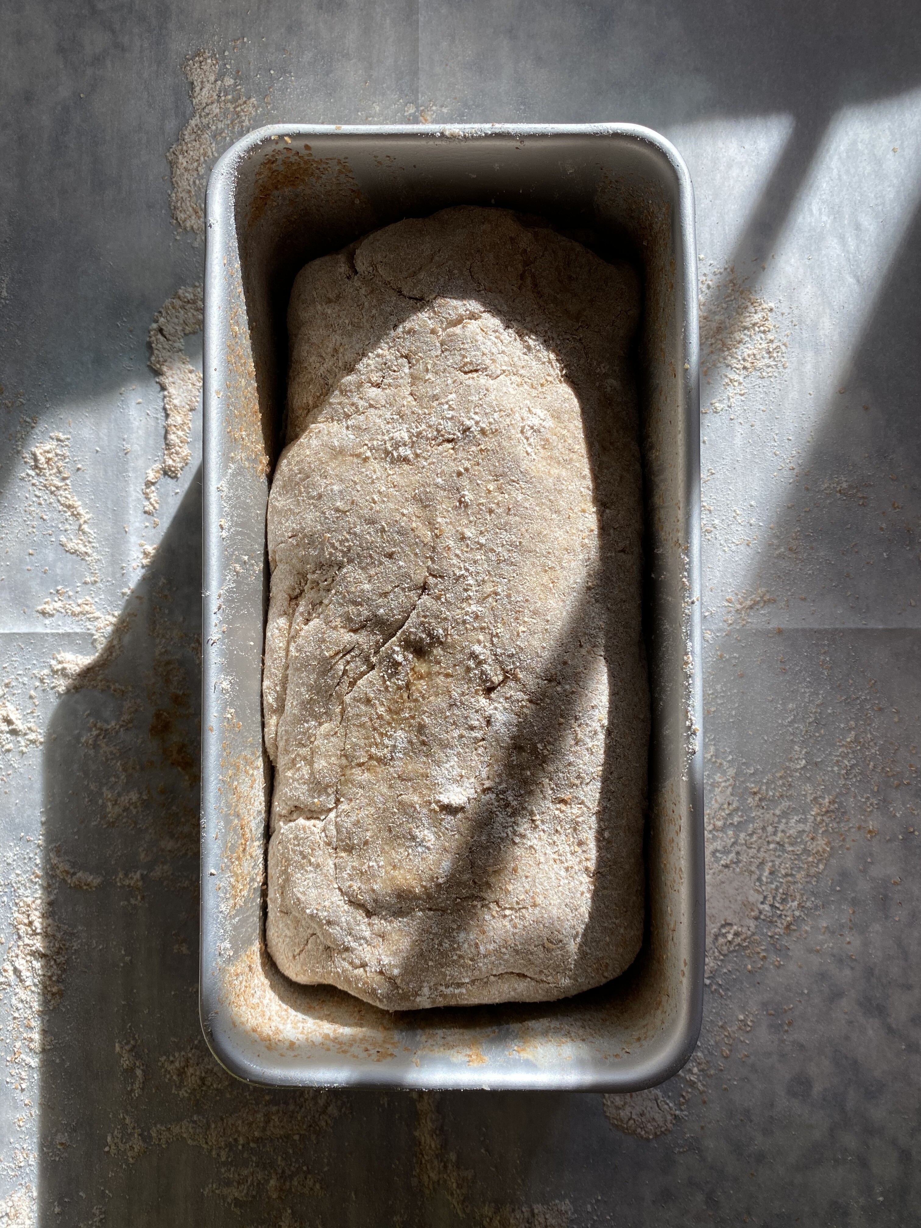 Shaped dough in loaf pan