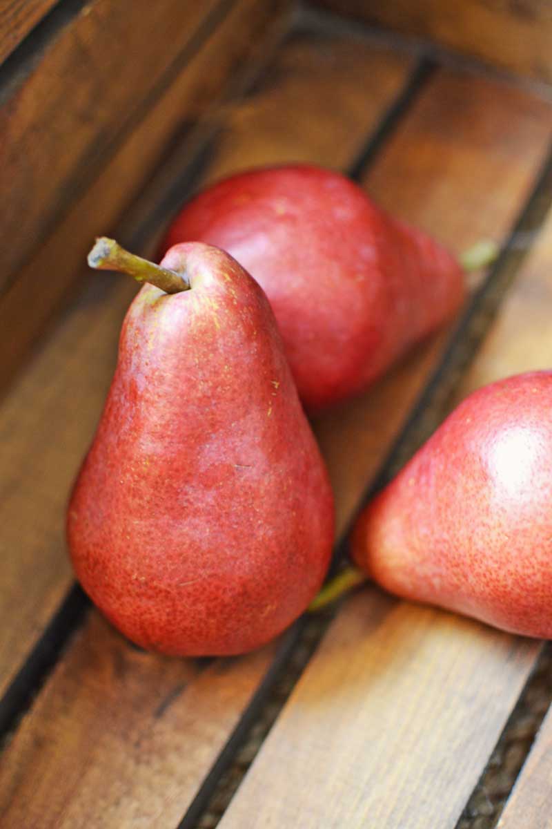 #Sangria - #Fall - @LittleFiggyFood