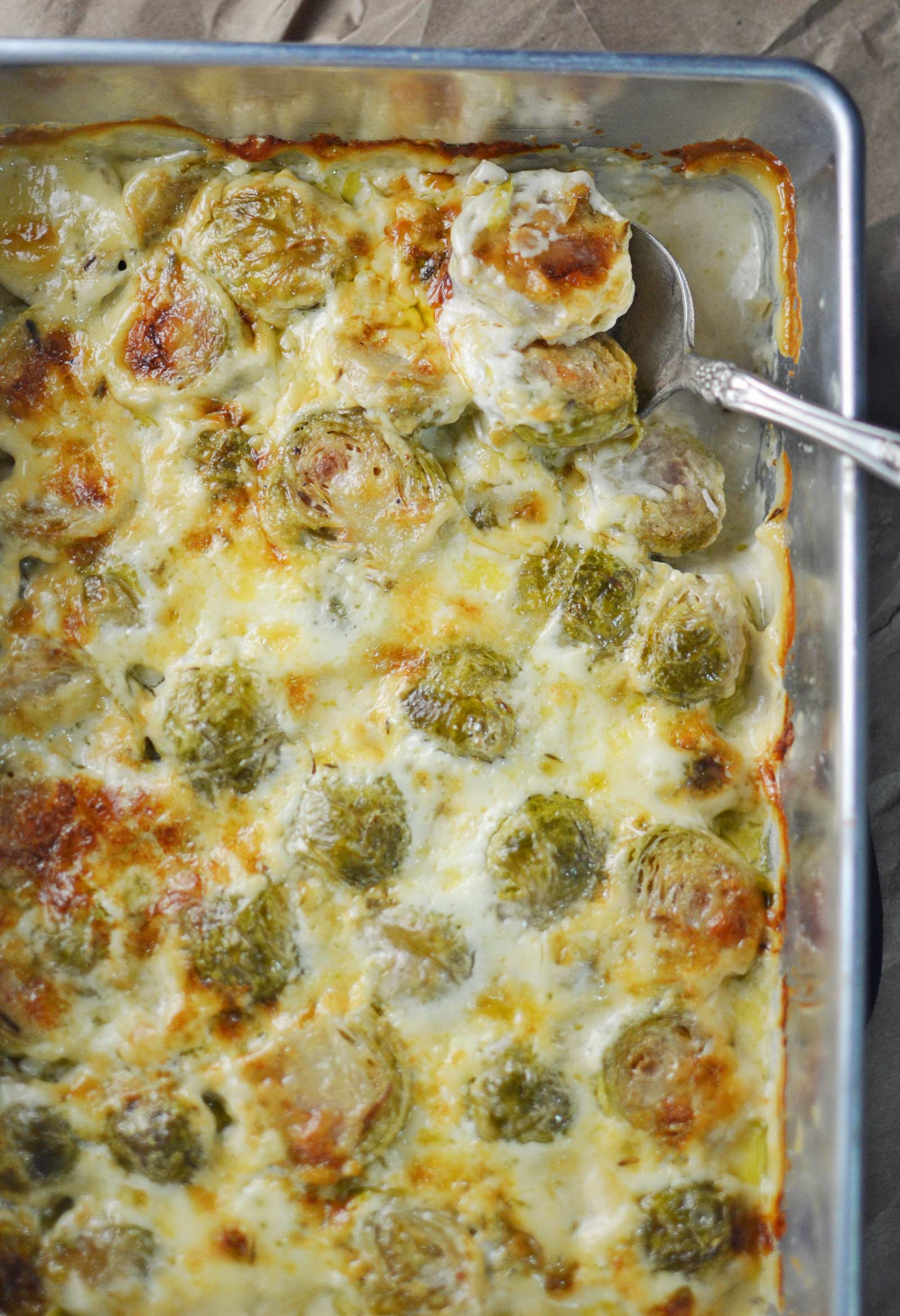 Creamy Brussel Sprouts Au Gratin - the perfect side dish for a simple weeknight dinner or during the Holidays for Thanksgiving, Christmas or New Year's! - Recipe @LittleFiggyFood