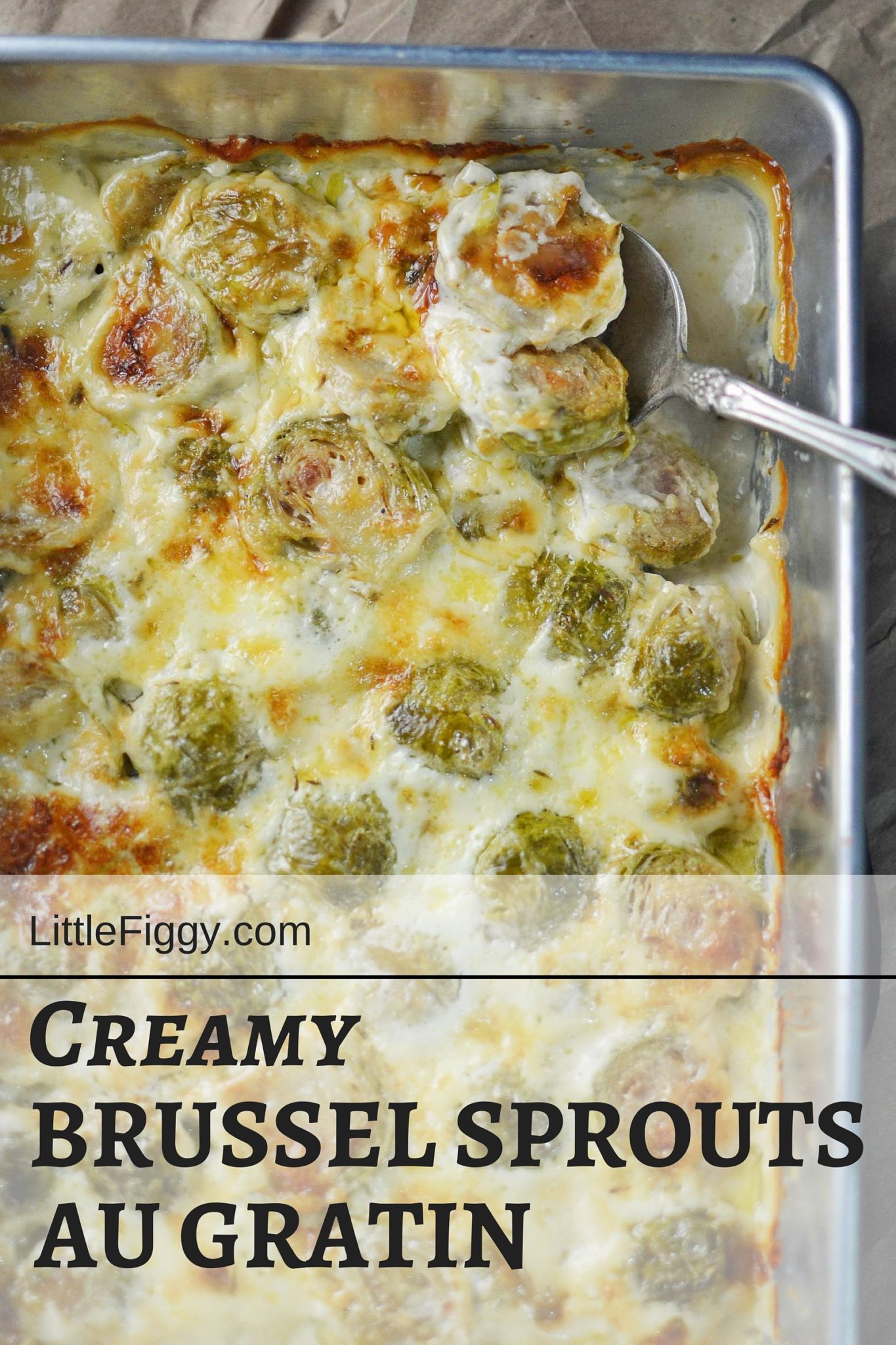 Creamy Brussel Sprouts Au Gratin - the perfect side dish for a simple weeknight dinner or during the Holidays for Thanksgiving, Christmas or New Year's! - Recipe @LittleFiggyFood