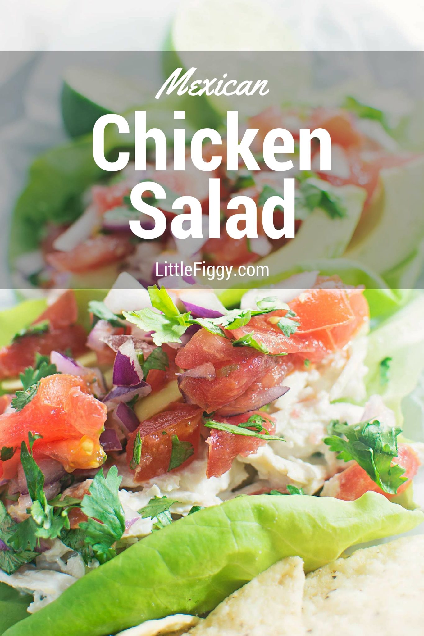 Mexican Chicken Salad with homemade Pico de Gallo served over lettuce.