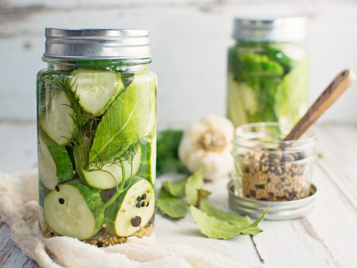 Garlic Dill Pickles: Easy to Make Refrigerator Pickles Recipe - Little  Figgy Food