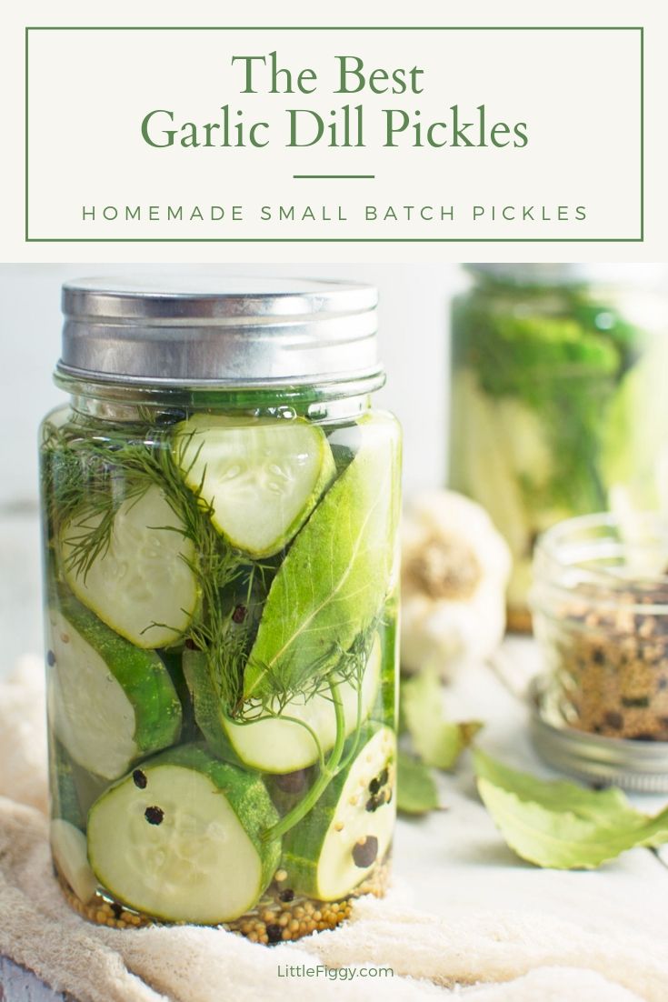 A jar filled with homemade refrigerator dill pickles, featuring sliced cucumbers, dill, and spices. In the background are more pickles, spices, and garlic bulbs. Text at the top reads The Best Garlic Dill Pickles.