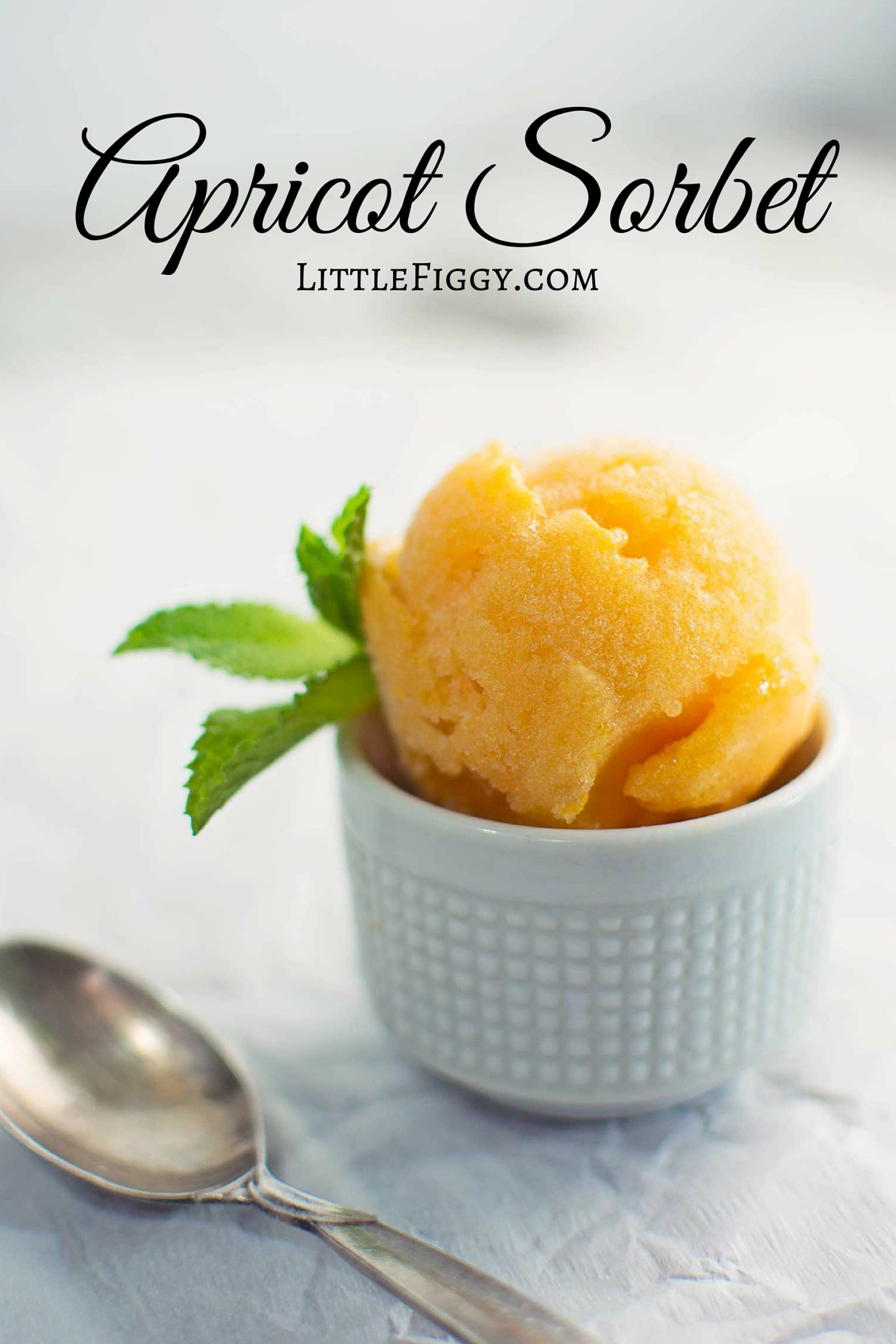 A delicately flavored Apricot Sorbet with a hint of sweet white wine! Recipe @LittleFiggyFood