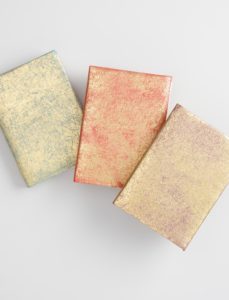 Metallic Leather Notebooks