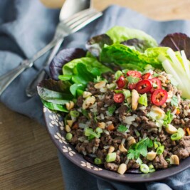 Enjoy this easy to make, Asian Inspired Ginger Beef Salad Bowl! Recipe @LittleFiggyFood