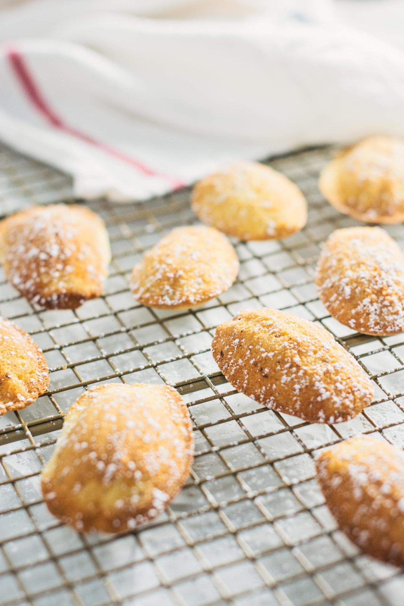 Enjoy a bit of these lovely French beauties right in your own kitchen, Madeleines with Hazelnut and Honey Cookies! Recipe @LittleFiggyFood