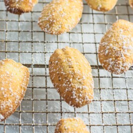 Golden brown madeleines, dusted with powdered sugar, are cooling on a metal wire rack.