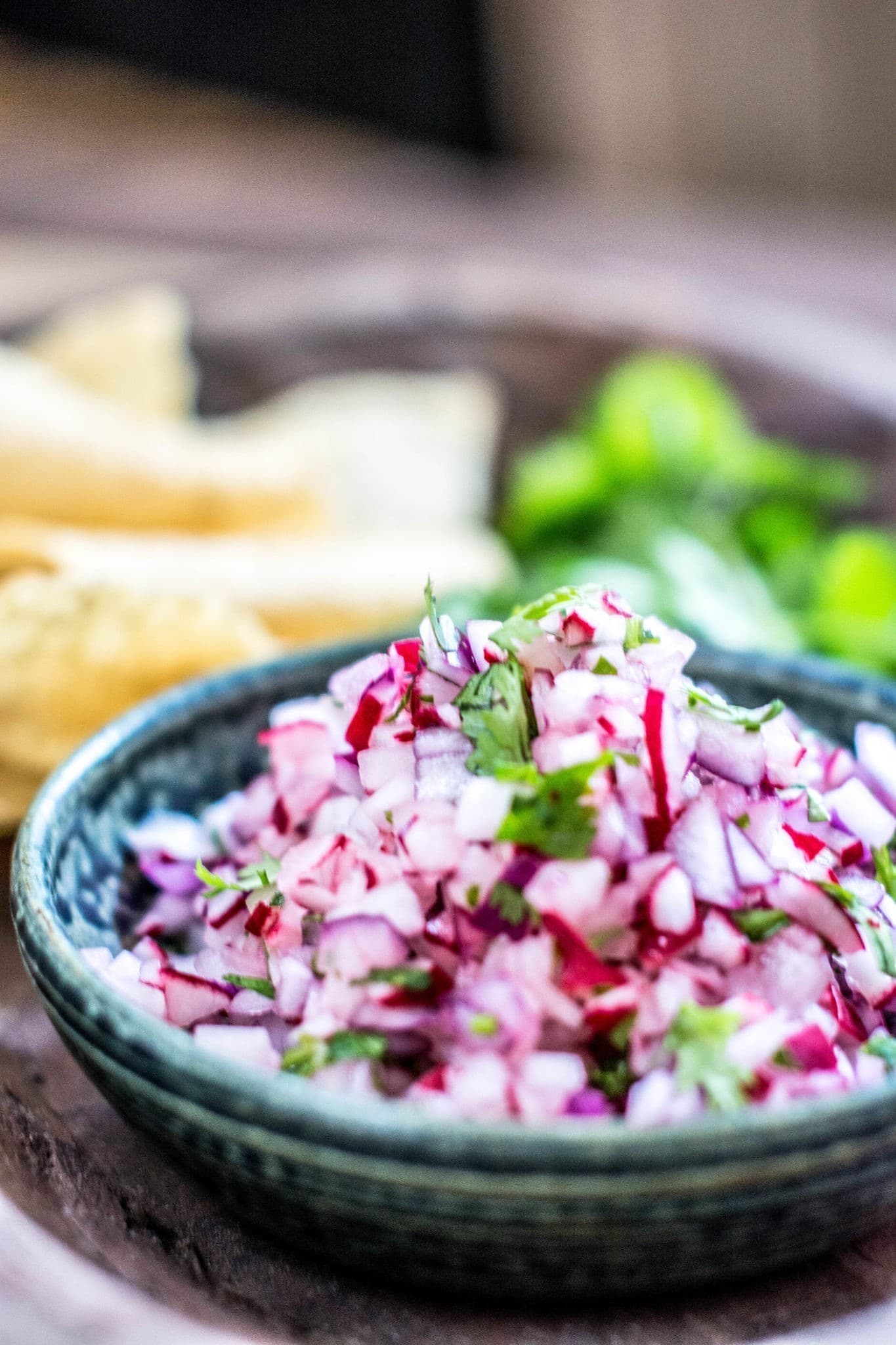 It's so easy to make and has an amazing flavor, Radish Pico de Gallo! Get the salsa recipe from Little Figgy Food