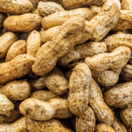 Close-up of boiled peanuts in shells