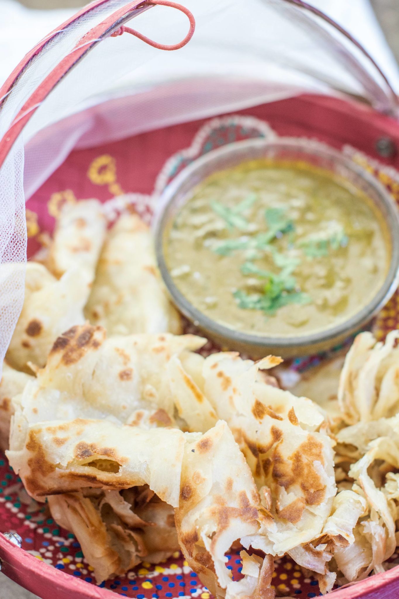 A colorful tray with pieces of flaky, golden brown roti canai and a bowl of curry garnished with fresh herbs, partially covered by a mesh food cover.
