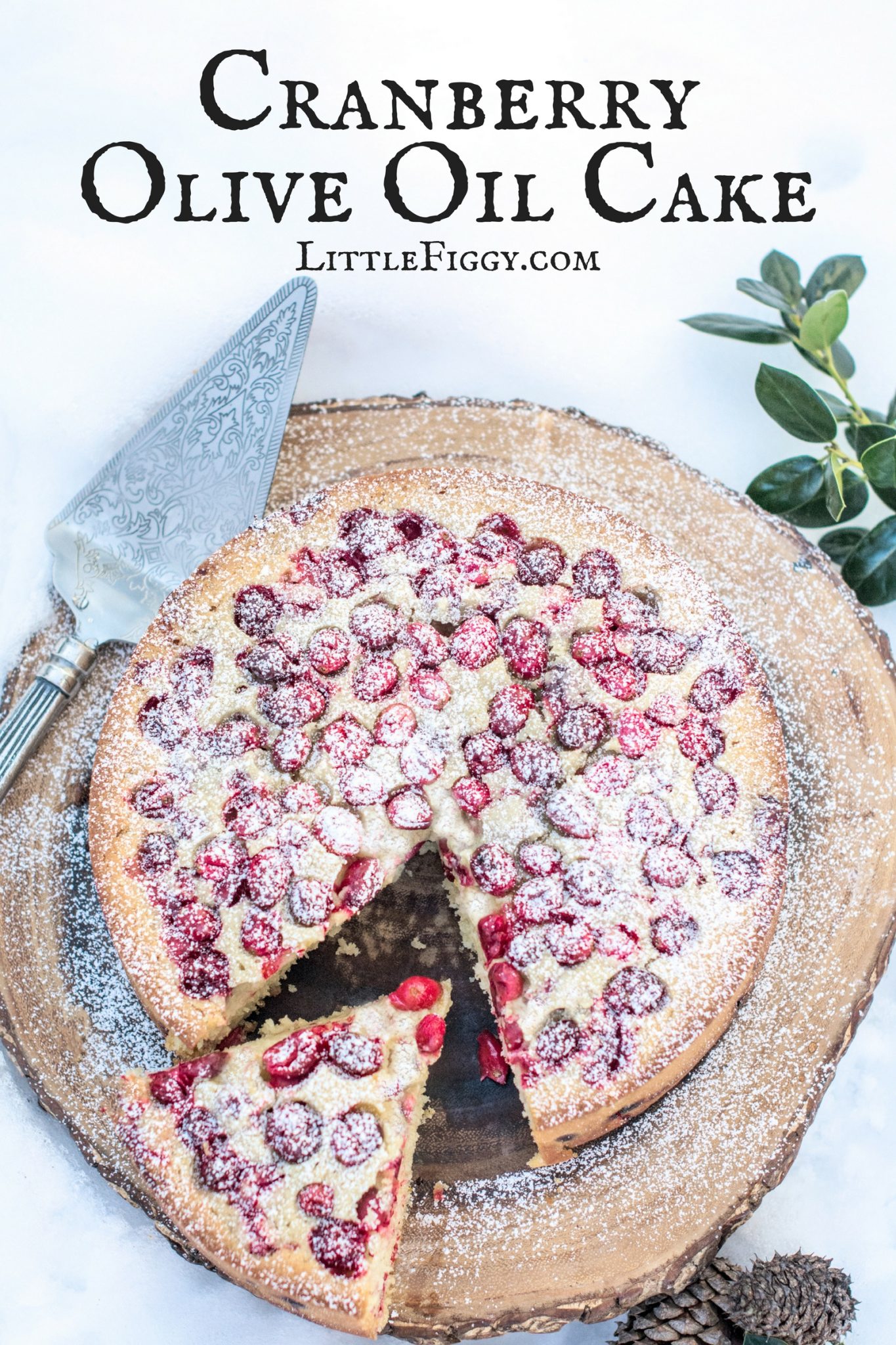 Cranberry Olive Oil Cake with a hint of orange, perfect for the holidays! Happily baked using @Silpat! Get the recipe at Little Figgy Food. #Silpat #ad