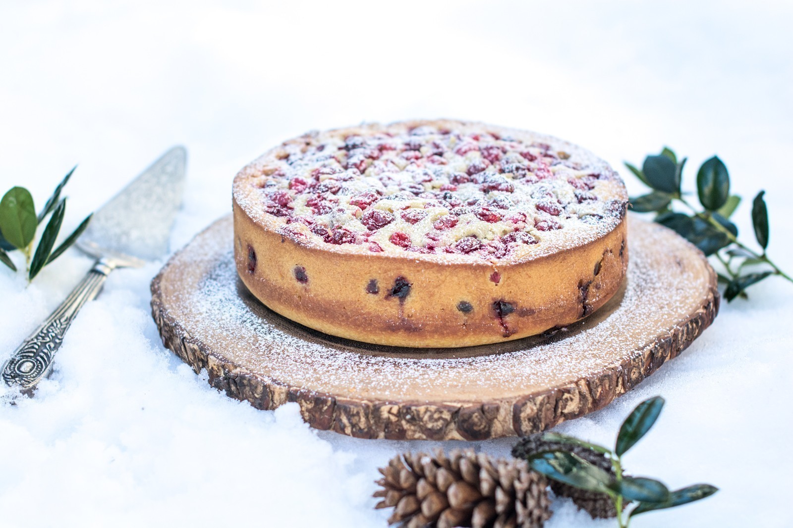 An Olive Oil Cake dusted with powdered sugar sits on a wooden board in the snow, surrounded by a pie server, pinecone, and green leaves.