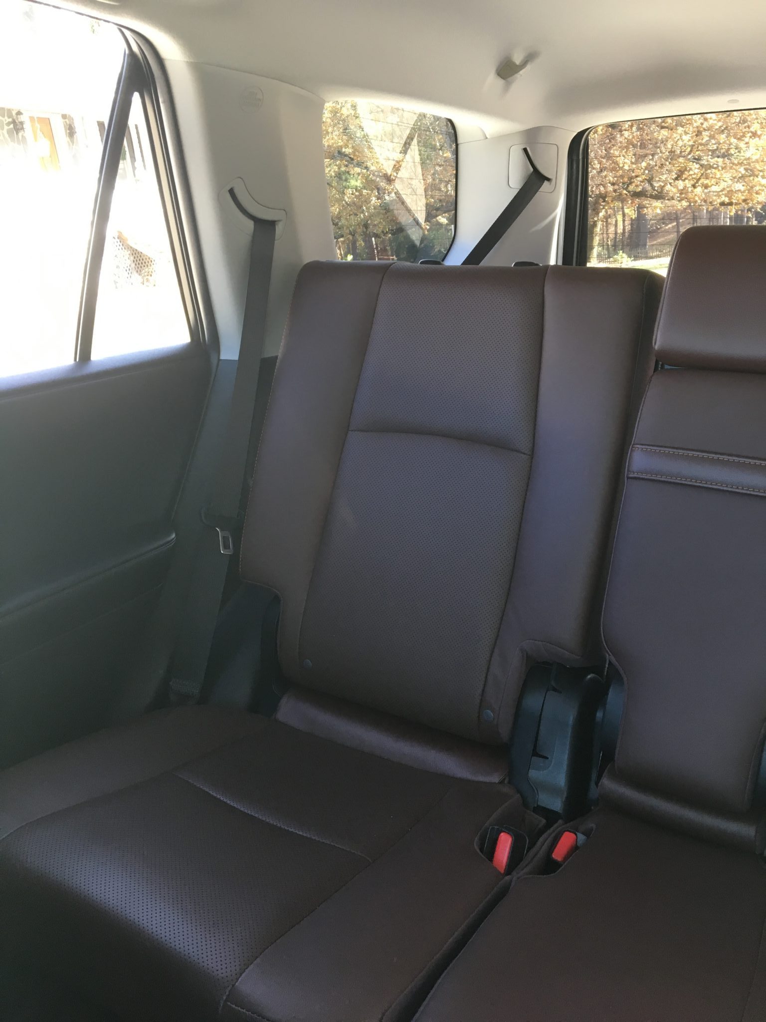 The image shows the back seat of a car with brown leather upholstery, seatbelts, and packs of Fig Bars resting on the seat. Sunlight comes through the windows, highlighting the clean and well-maintained interior.