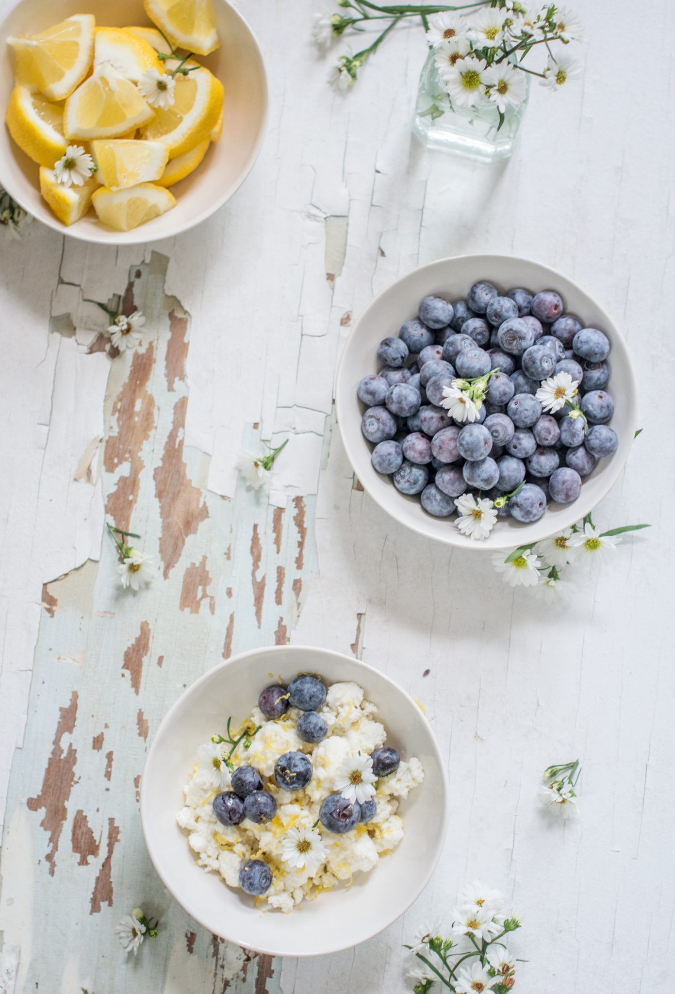 Learn how to make ridiculously EASY Ricotta Cheese! Use it in pastas, in desserts, as a snack, and enjoy fresh tasting Ricotta! Get the recipe at Little Figgy Food