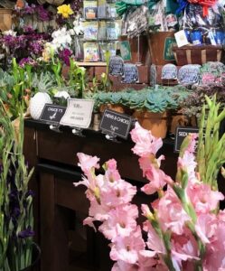 A colorful flower shop display featuring pink and purple gladiolus, green plants, potted succulents, and various flowers—plus unique gift items like stuffed flank steak recipe cards—arranged on wooden shelves with price tags.