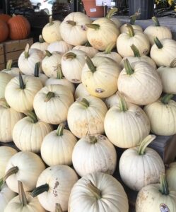 A large pile of pale white pumpkins is displayed on wooden steps and crates at a market, with orange pumpkins and baskets of fresh produce like stuffed flank steak ingredients visible in the background.