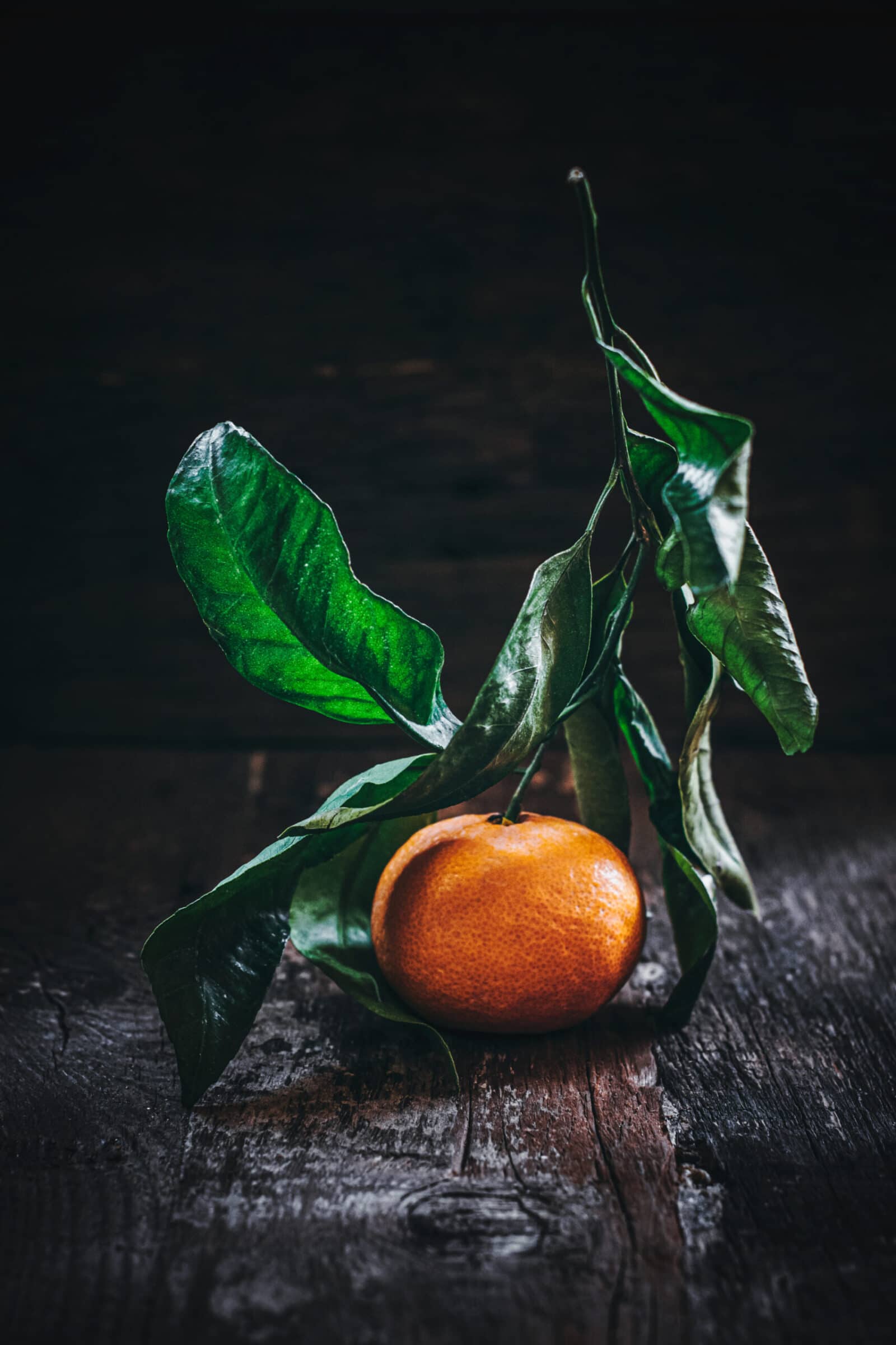 Satsuma Mandarin Orange with leaves