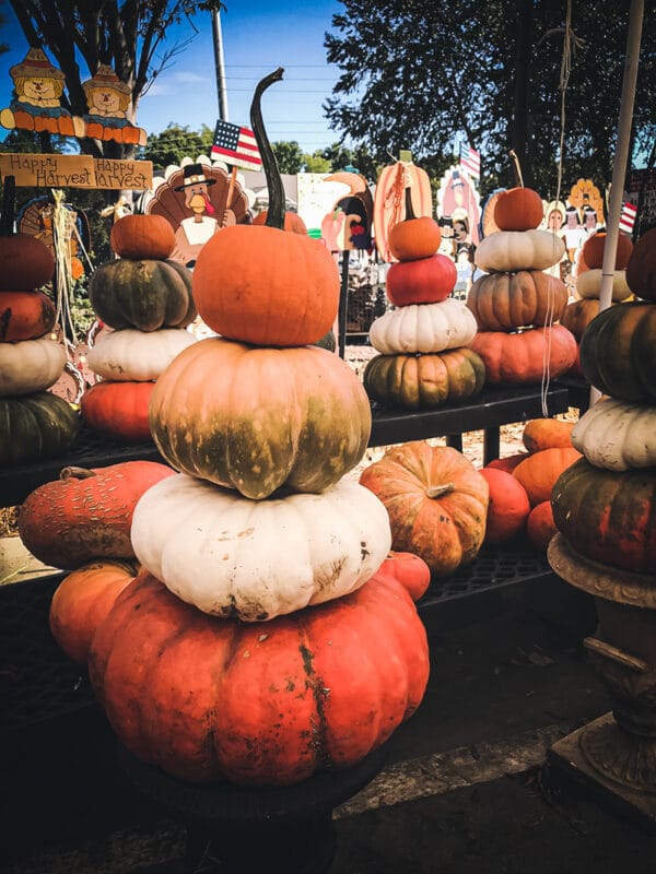 Stack of Pumpkins