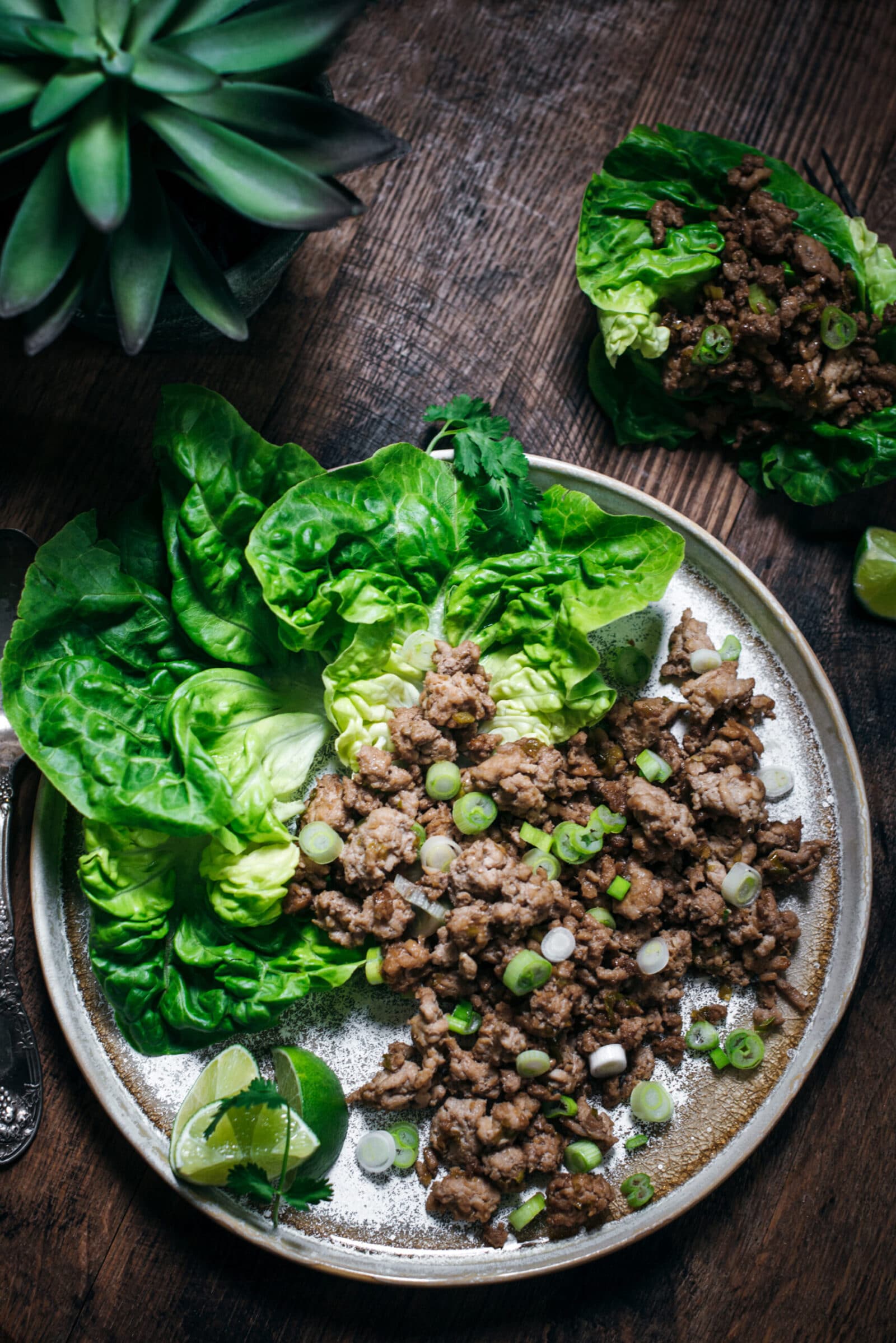 Easy Asian Chicken Lettuce Wrap