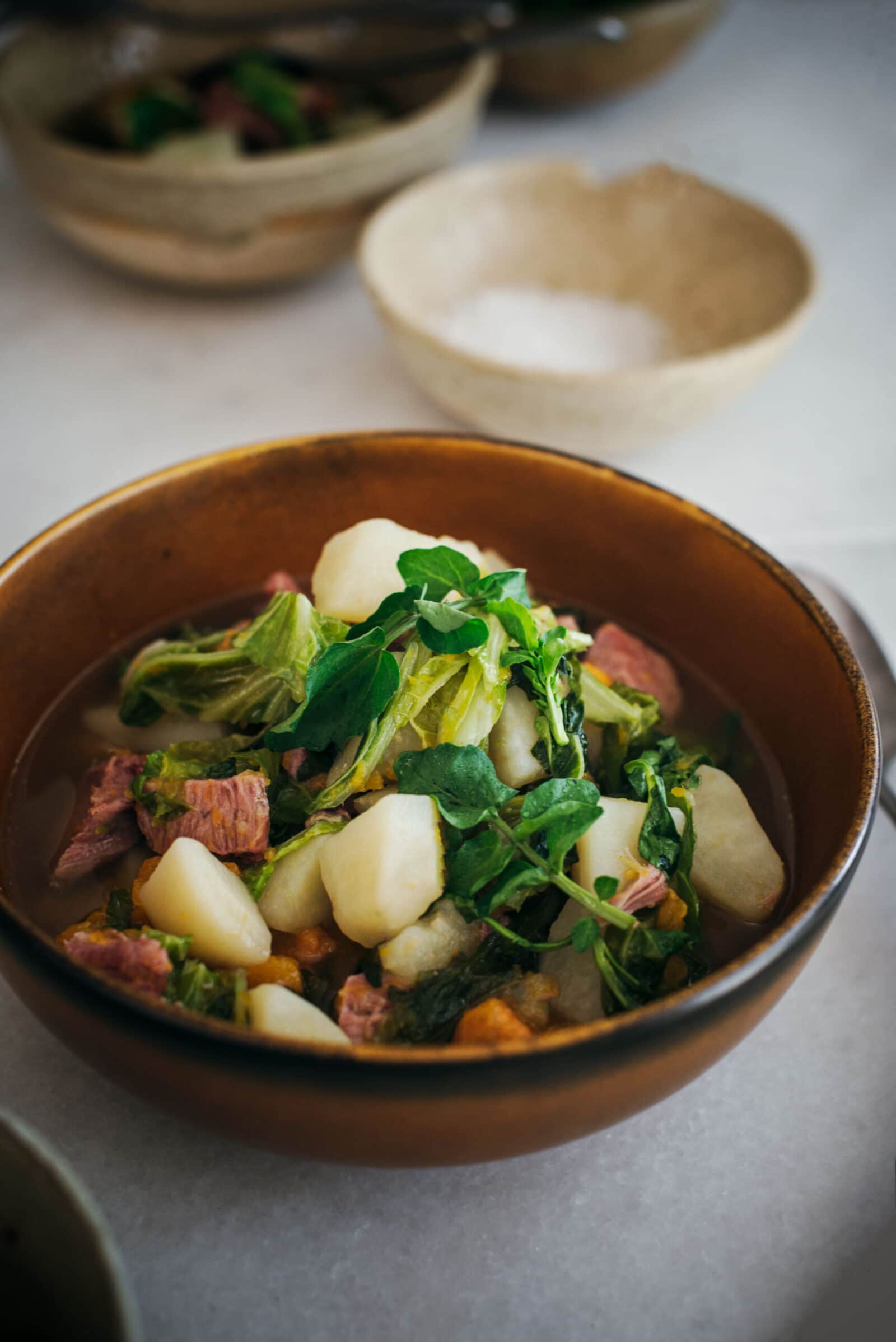 Bowl of Pork and Vegetables Stew