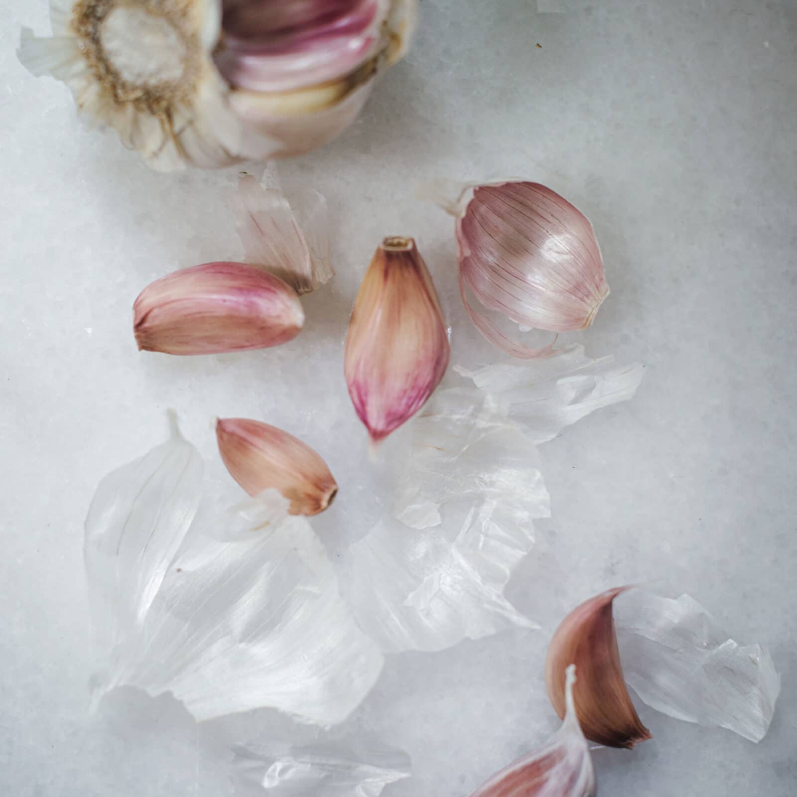 garlic