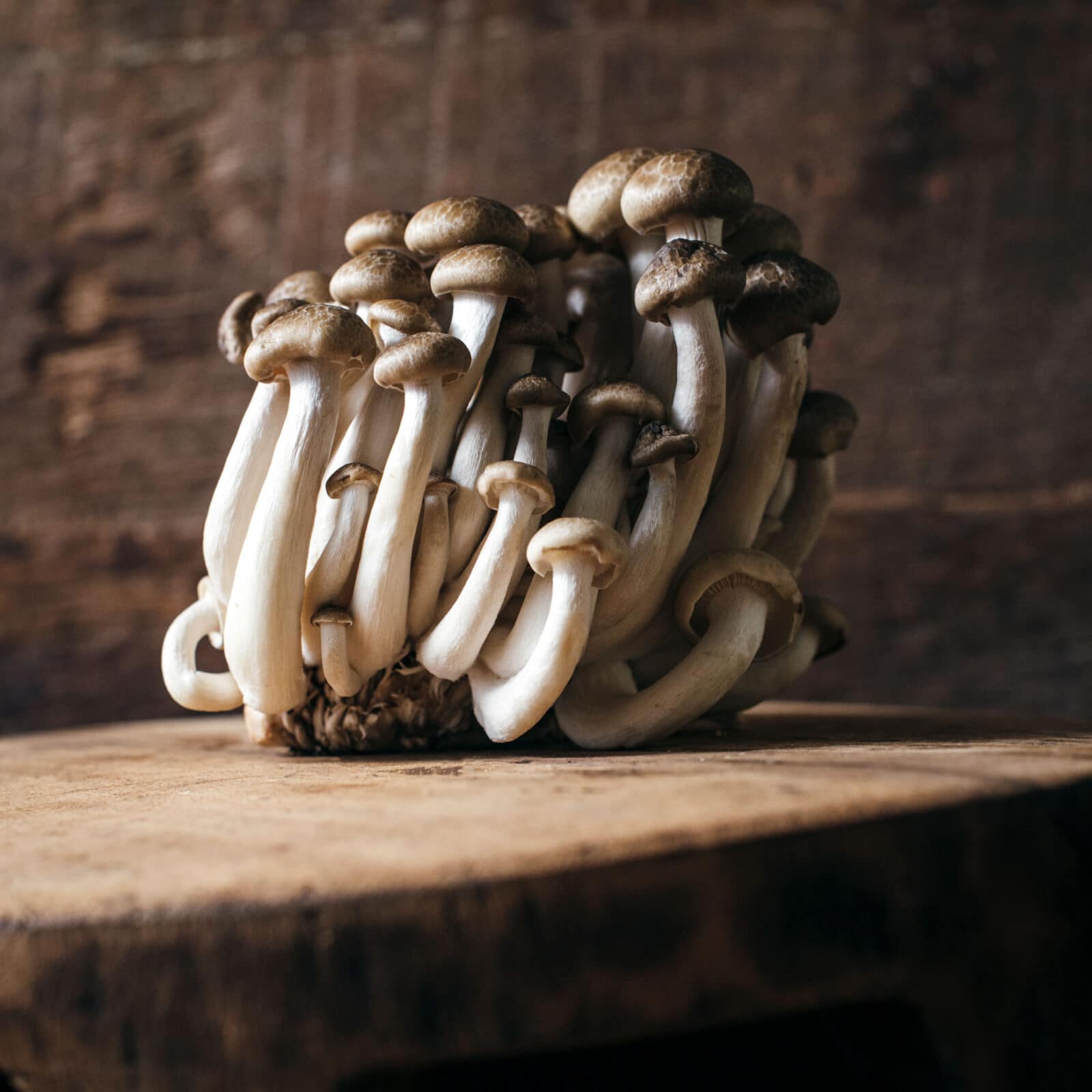 mushrooms