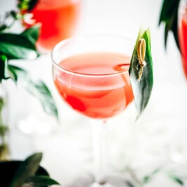 Rum cocktail drink