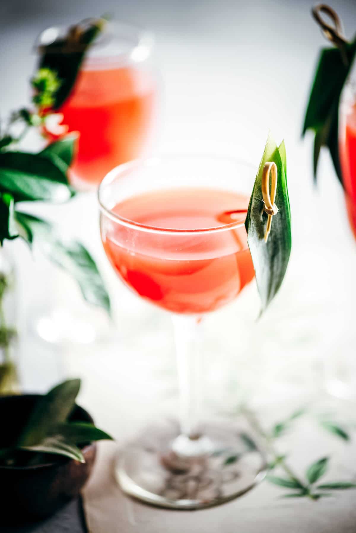 Rum cocktail drink