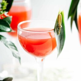 Three red cocktails with decorative leaves on glasses.