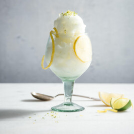 Gin and tonic dessert frozen sorbet recipe