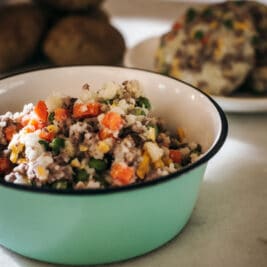 Bowl of homemade pet food