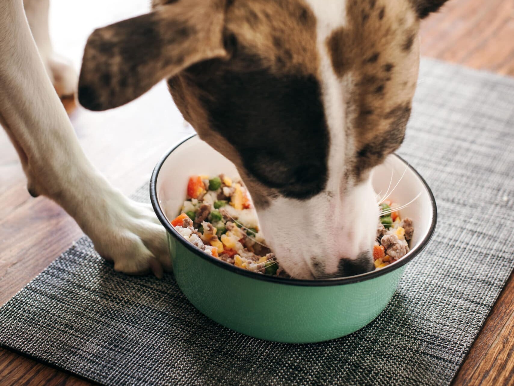 Dog eating food from green bowl on mat.
