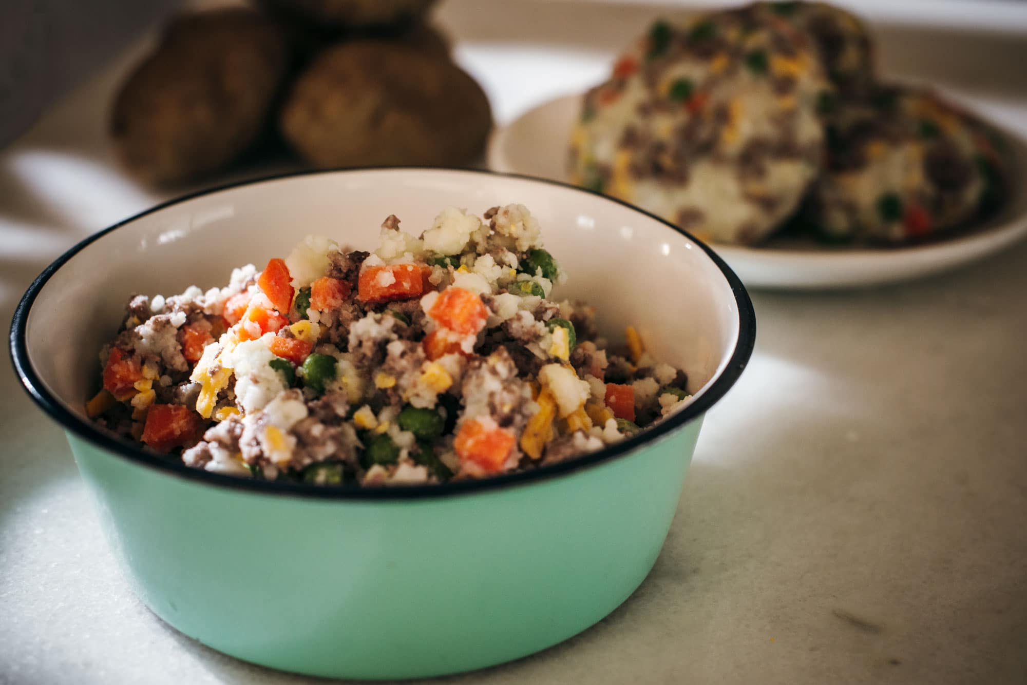 Bowl of homemade pet food