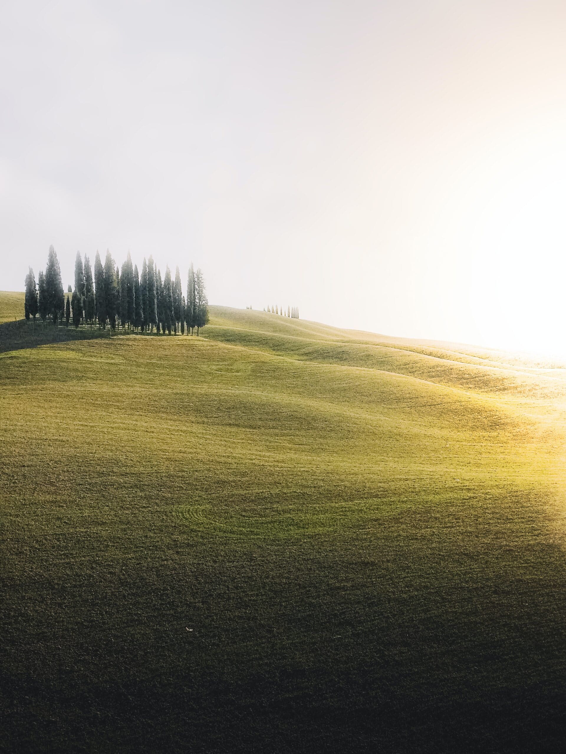 Italian Countryside - regional Italian dishes