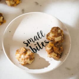 sausage cheese balls pet food