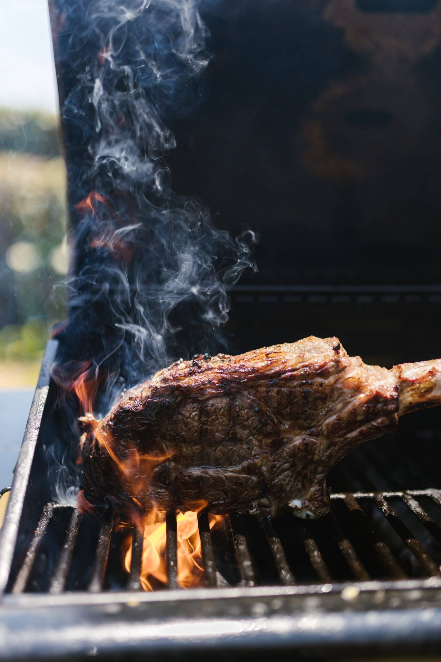 Steak on a grill - a great example of the maillard reaction and how it works